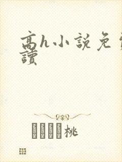 高h小说免费阅读