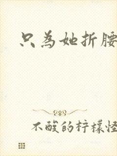 只为她折腰封面