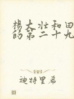 杨大壮和田桂花的第二十九