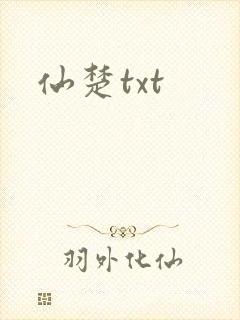 仙楚txt封面