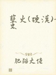 孽火(硬汉)今又