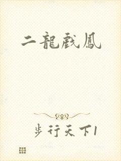 二龙戏凤