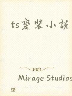 ts变装小说
