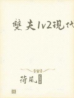双夫1v2现代