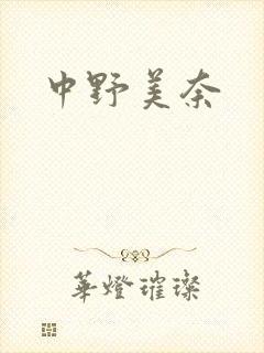 中野美奈封面