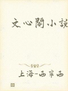 文心阁小说
