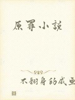 原罪小说