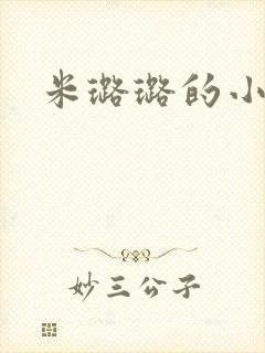 米璐璐的小说封面