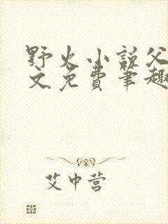 野火小说父女全文免费笔趣阁封面