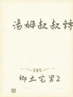 汤姆叔叔转接口