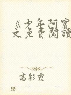 《少年阿宾》全文免费阅读