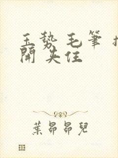 玉势 毛笔 撑开 夹住