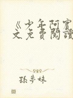 《少年阿宾》全文免费阅读封面