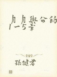 月月与公的激情1一5章