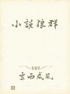 小说狼群