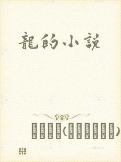 龙的小说