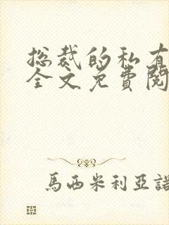 总裁的私有宝贝全文免费阅读