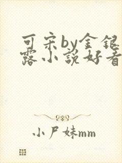 可宋by金银花露小说好看吗