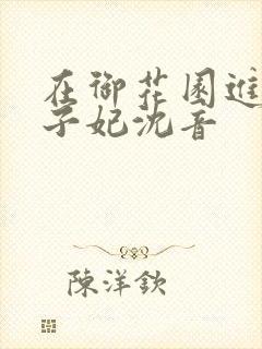 在御花园进入太子妃沈音封面