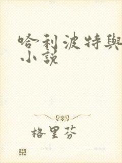 哈利波特与密室小说