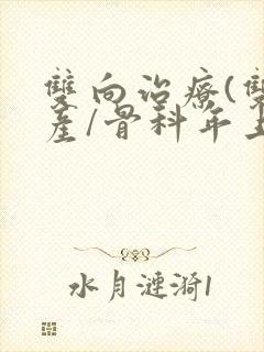 双向治疗(双/产/骨科年上)