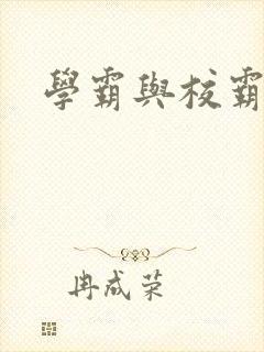 学霸与校霸封面