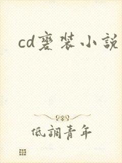 cd变装小说
