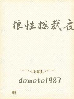 狼性总裁夜欢宠