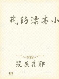 我的漂亮小后妈