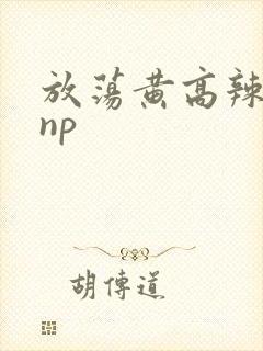 放荡黄高辣h文np