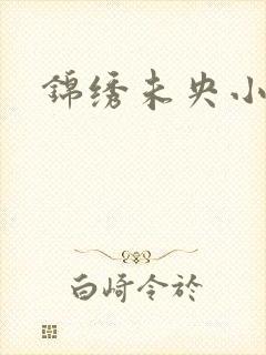 锦绣未央小说