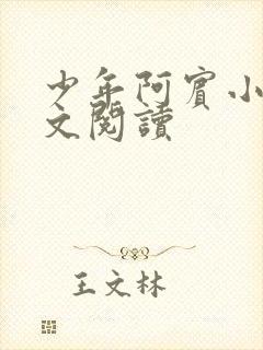 少年阿宾小说全文阅读封面