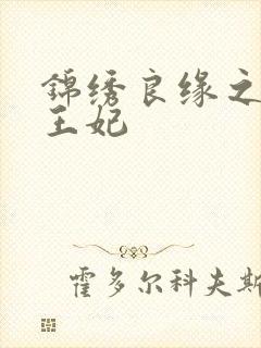 锦绣良缘之北地王妃封面