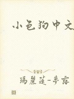 小色狗中文网