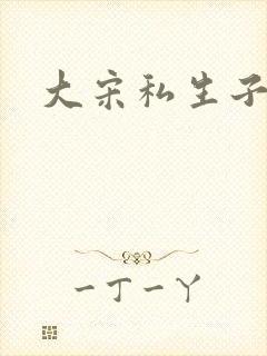 大宋私生子封面
