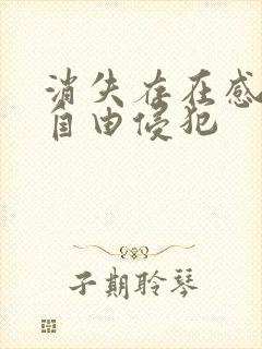 消失存在感消失自由侵犯