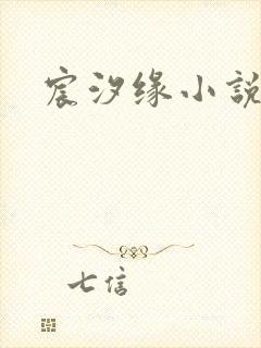 宸汐缘小说封面