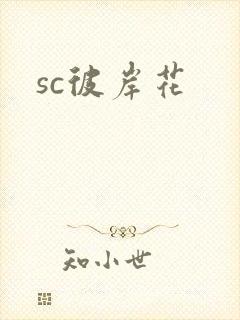 sc彼岸花