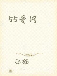 55爱网