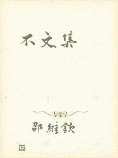 不文集封面