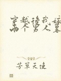 穿越后我嫁给了两个男人暮色酒歌