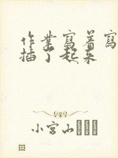 作业写着写着就插了起来封面