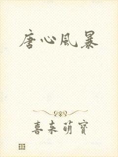 唐心风暴