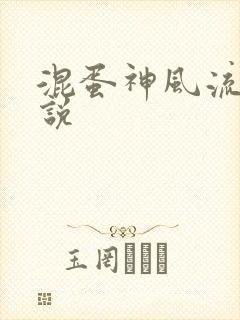 混蛋神风流史小说