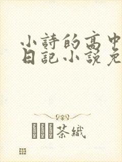 小诗的高中成长日记小说免费阅读