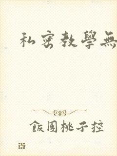 私密教学无删减封面