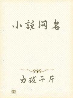 小说网名