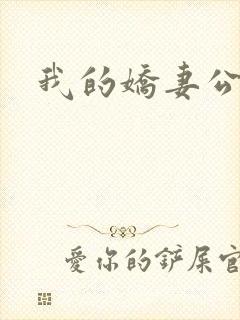 我的娇妻公务员封面