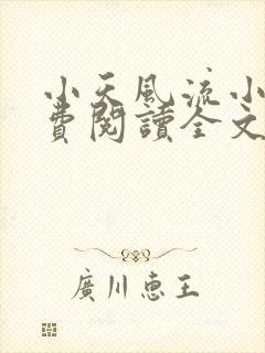 小天风流小说免费阅读全文最新章节