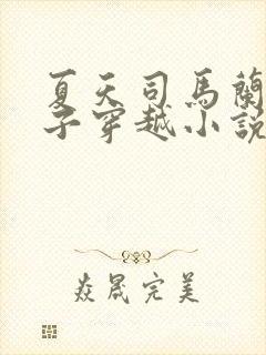 夏天司马兰九皇子穿越小说笔趣阁封面